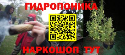 MDMA Новозыбков